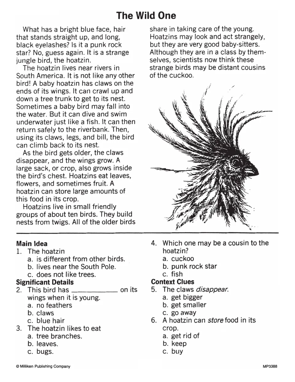 The Wild One: passage on the hoatzin, a South American bird; students pick its main idea and answer vocab items