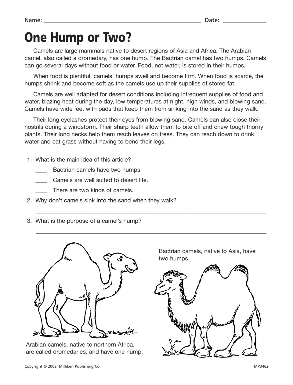 One Hump or Two? camel article; students choose the main idea and explain how camels' feet and humps help