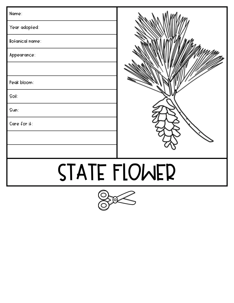 State flower flap with a pine cone and tassel drawing; students fill in name, botanical name, bloom, soil, sun and care
