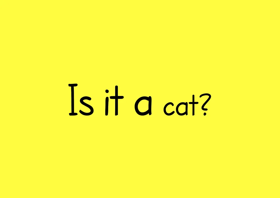 Asking sentence "Is it a cat?" in large print for children to decode, then copy using cut-out cards and a ? mark