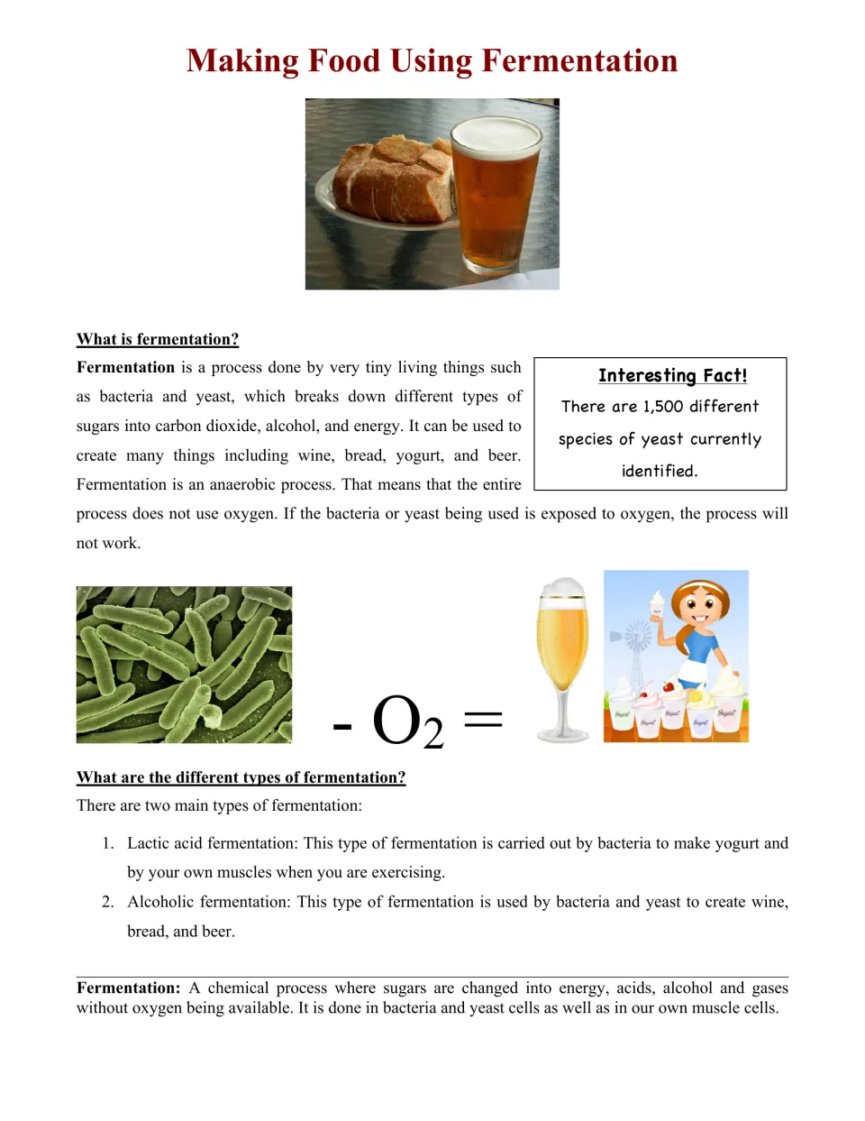 Fermentation reading: defines fermentation as anaerobic and explains lactic acid vs alcoholic types, with a yeast fact box