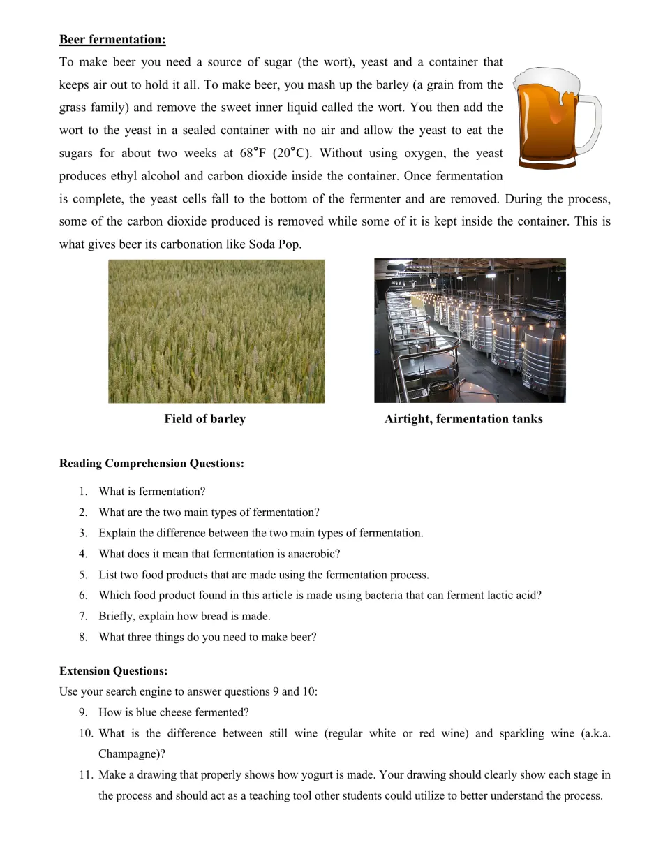 Beer fermentation passage with barley and tank photos, then 8 comprehension and 3 extension questions to answer