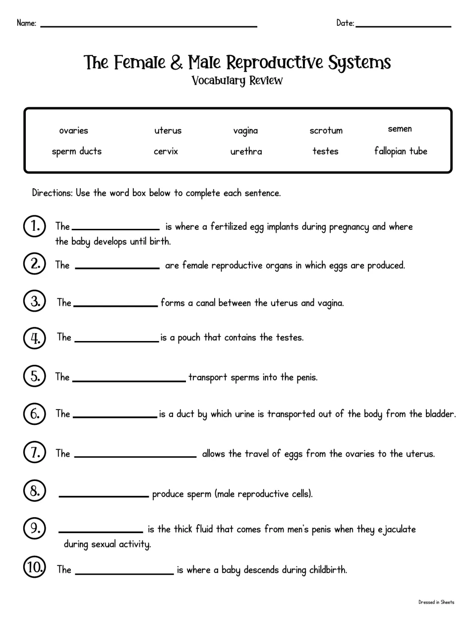 Reproductive systems vocabulary review: students complete 10 sentences using a word bank of terms such as uterus and testes