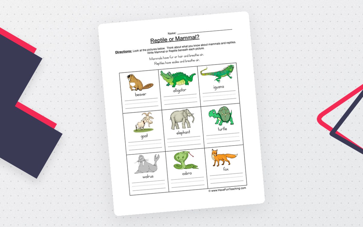 Mammal vs Reptile Sort – Picture Worksheet preview: Nine labeled animal picture prompts