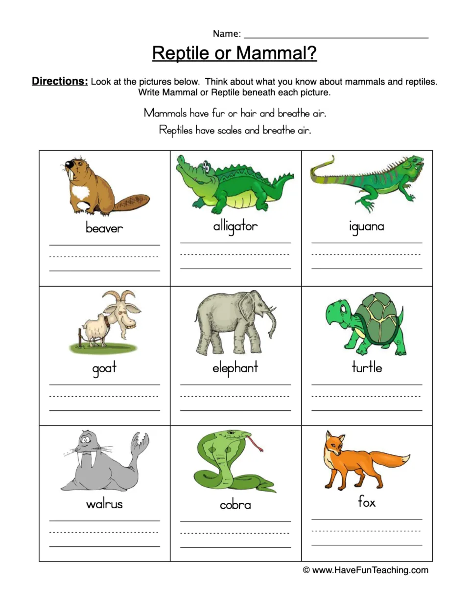 Reptile or Mammal?: students label 9 animal pictures, such as beaver, cobra and turtle, by fur or scales to classify them