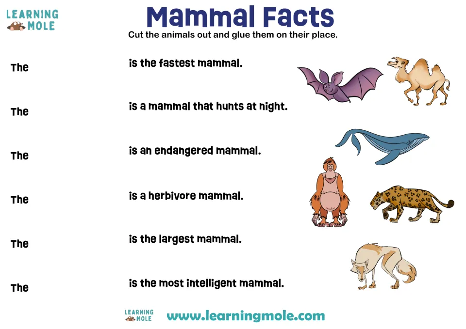 Mammal Facts: students cut out a bat, camel, whale, orangutan, big cat and wolf and glue each by the fact it fits