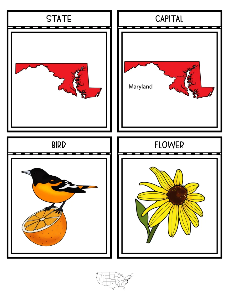 Four notebook pieces labeled State, Capital, Bird, and Flower show Maryland, Annapolis, an oriole, and a black-eyed Susan