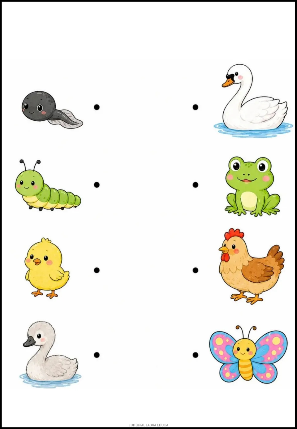 Matching exercise 8: tadpole, caterpillar, chick, and cygnet to pair with frog, butterfly, hen, and swan.