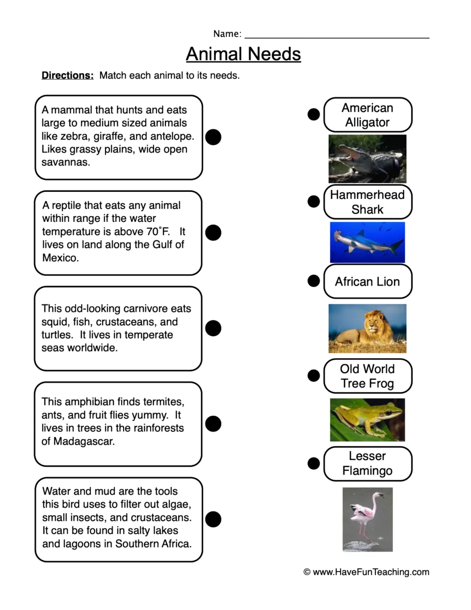 Animal needs matching page: diet and habitat clues for an alligator, shark, lion, tree frog, and flamingo.