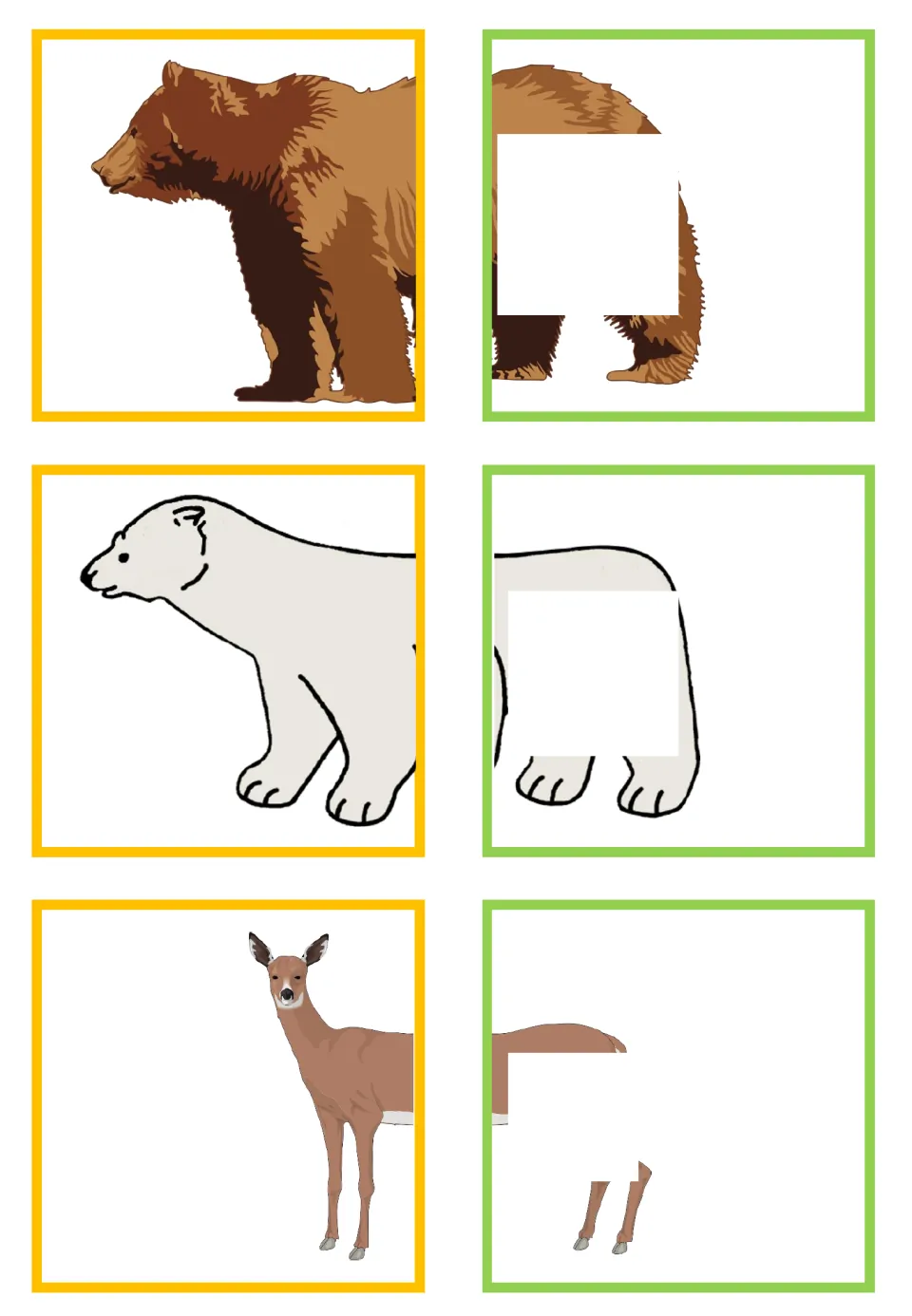 Animal-half matching cards for brown bear, polar bear, and deer, with partially hidden rear halves.