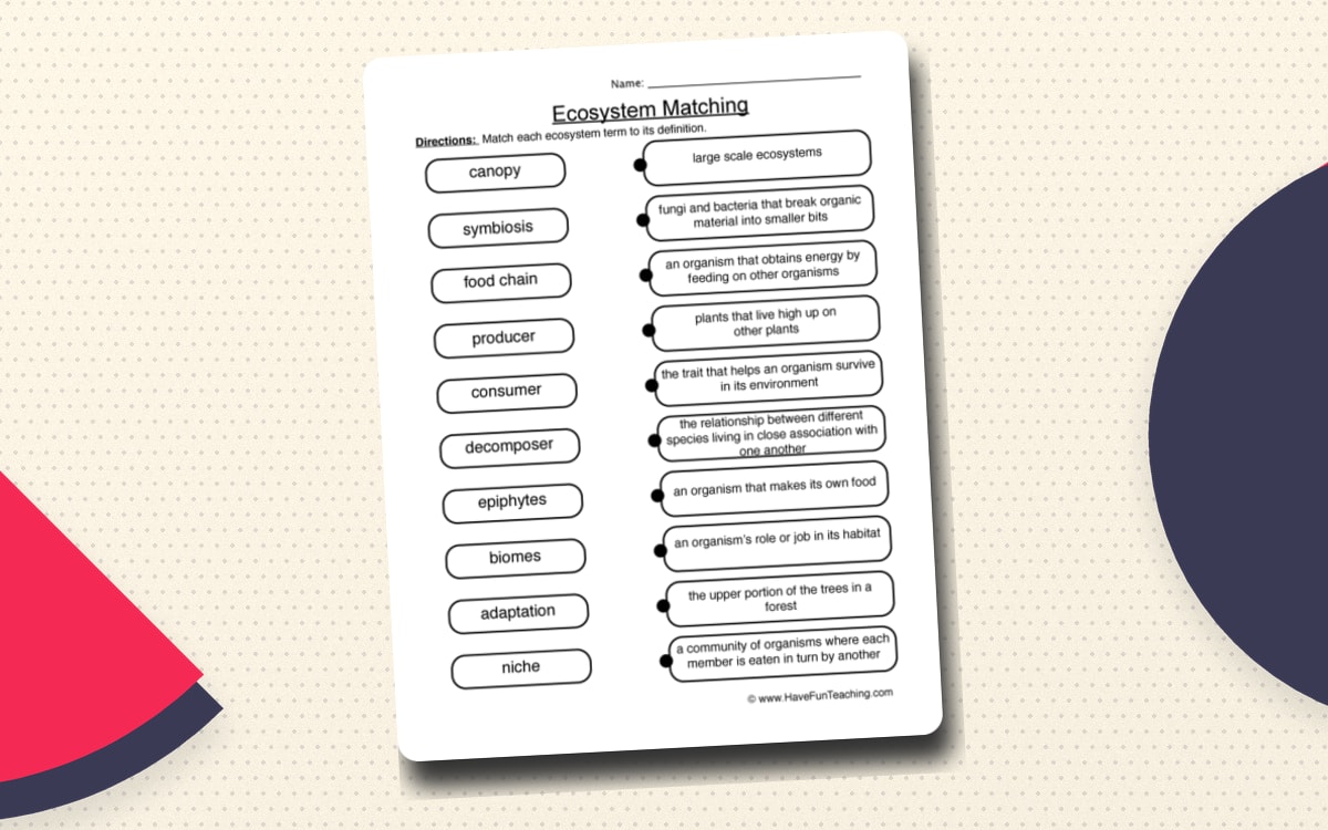 Matching Ecosystems Worksheet worksheet page with the activity title and student response area.