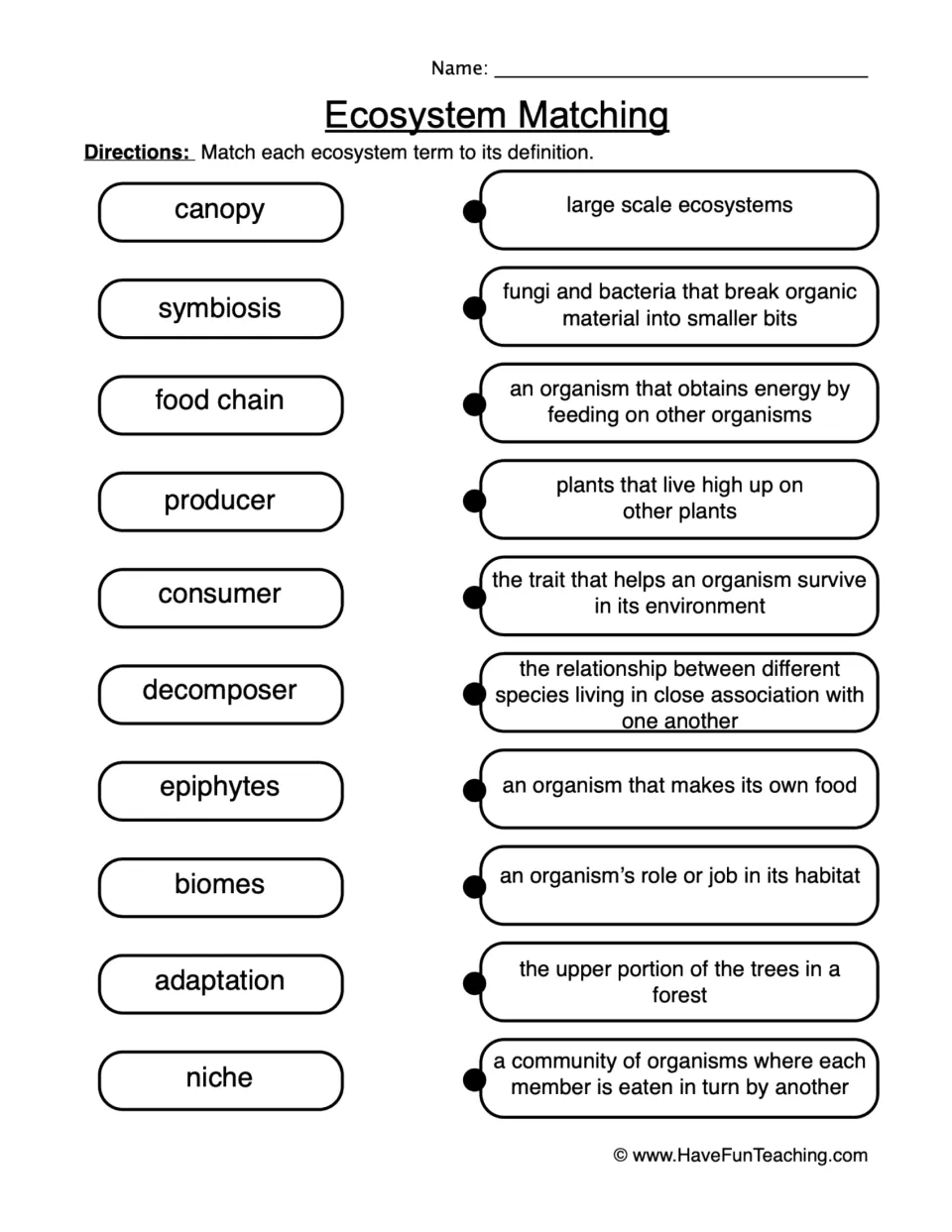 Ecosystem vocabulary matching: students match 10 terms such as canopy, symbiosis, producer and niche to their definitions