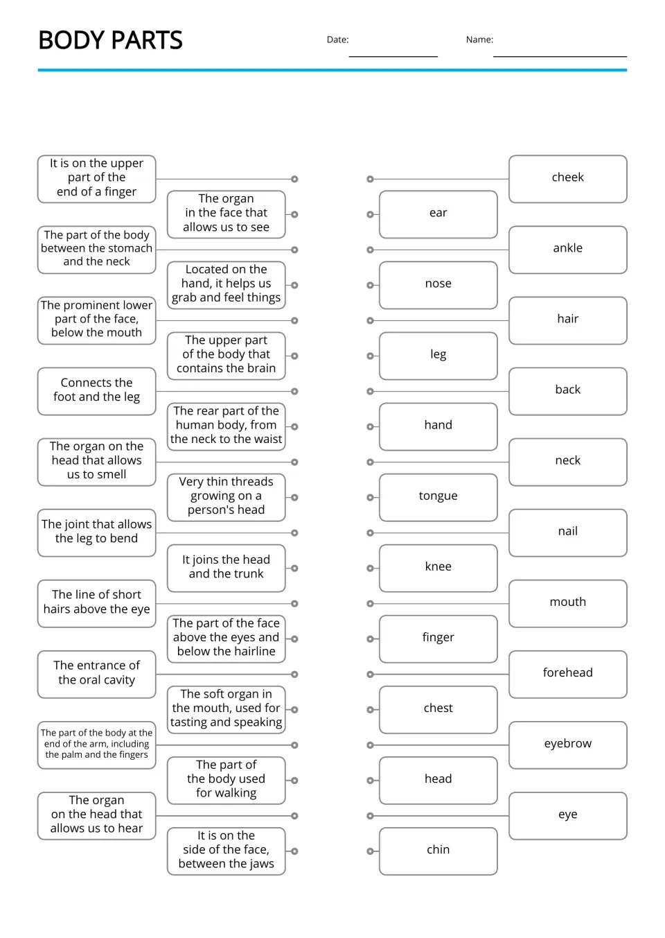 Body Parts vocabulary: students match 21 descriptions to words such as forehead, eyebrow, ankle and chin