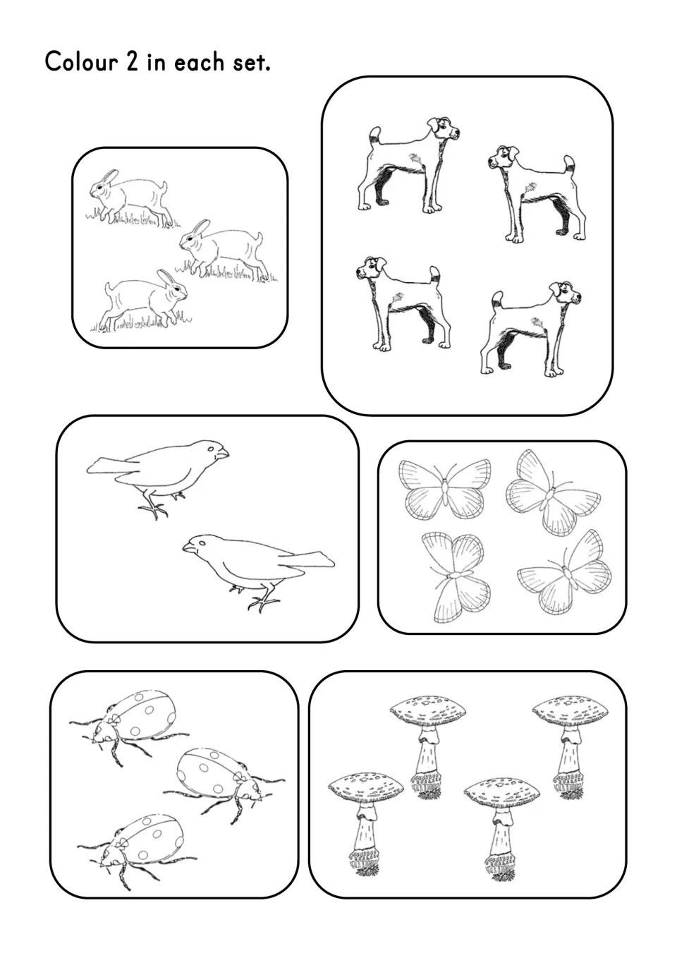 Number 2 coloring worksheet asks children to color two rabbits, dogs, birds, butterflies, ladybugs, and mushrooms