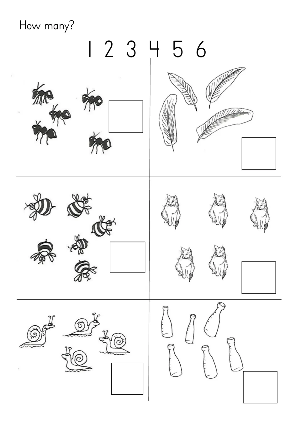 Further counting practice to 6: count ants, feathers, bees, cats, snails, and bottles and write each total