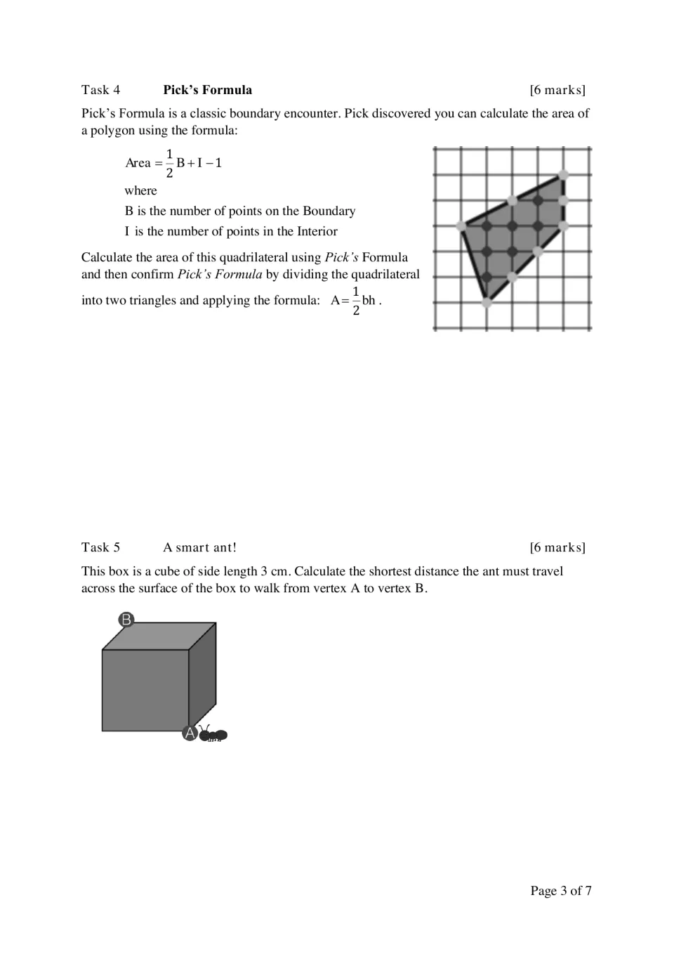 Pick's Formula and cube tasks: students find a lattice quadrilateral's area, then the ant's shortest route on a 3 cm cube