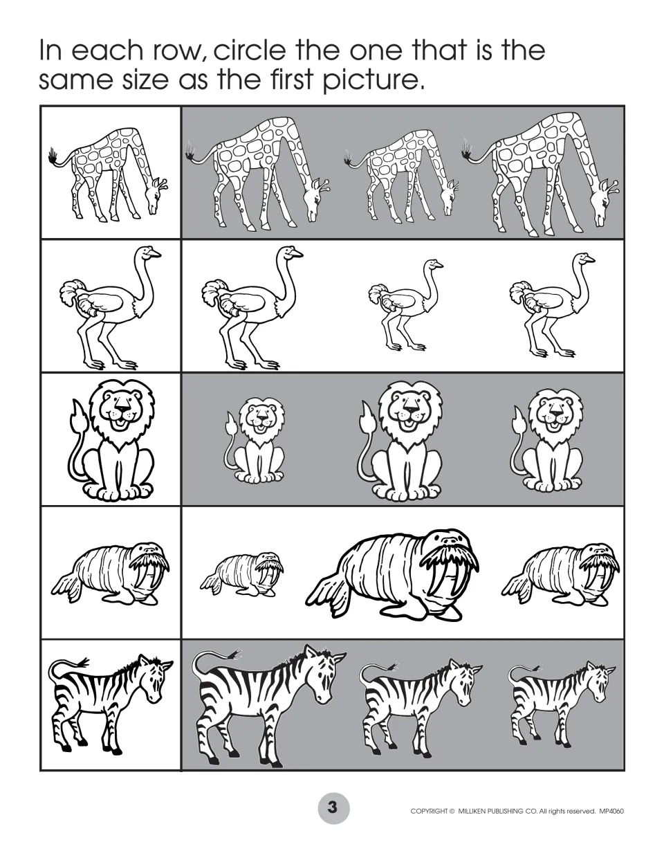 Same-size matching: students find the giraffe, ostrich, lion, walrus and zebra matching each row's first picture