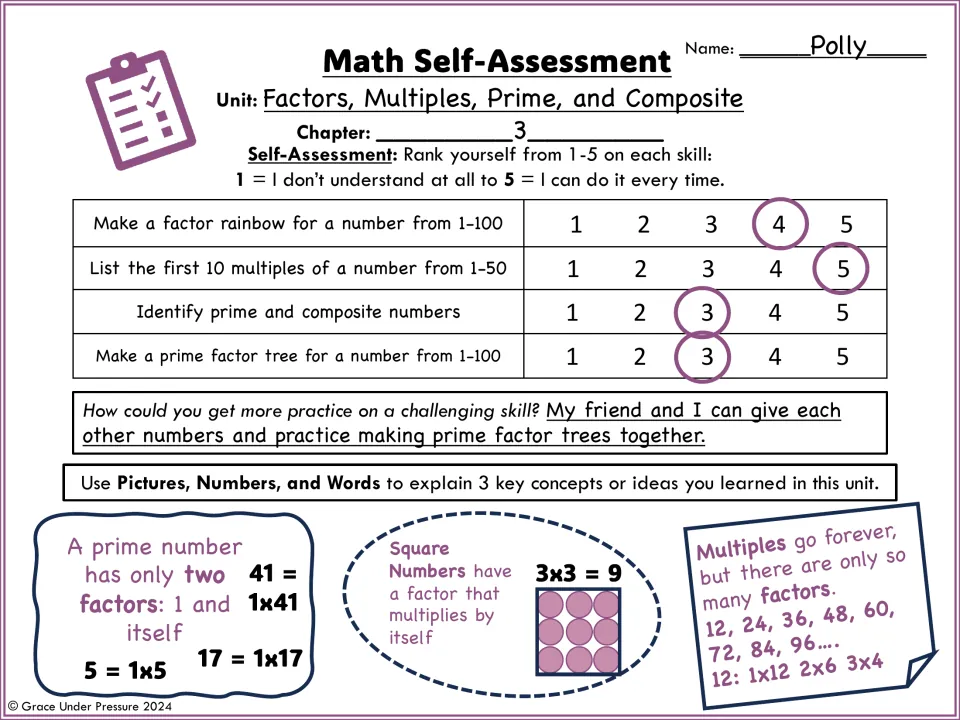 Completed sample on factors, multiples, prime and composite: skills rated, a practice plan and notes on primes and squares