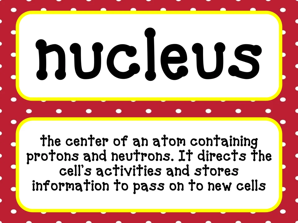 Nucleus vocabulary card defining it as the center of an atom containing protons and neutrons, plus a cell-related meaning