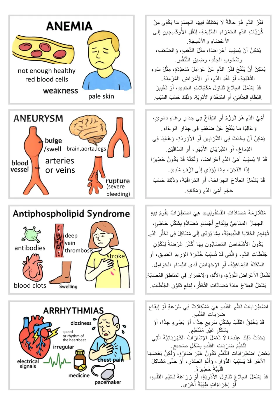 Visual and Arabic text card pairs: anemia, aneurysm, antiphospholipid syndrome, and arrhythmias