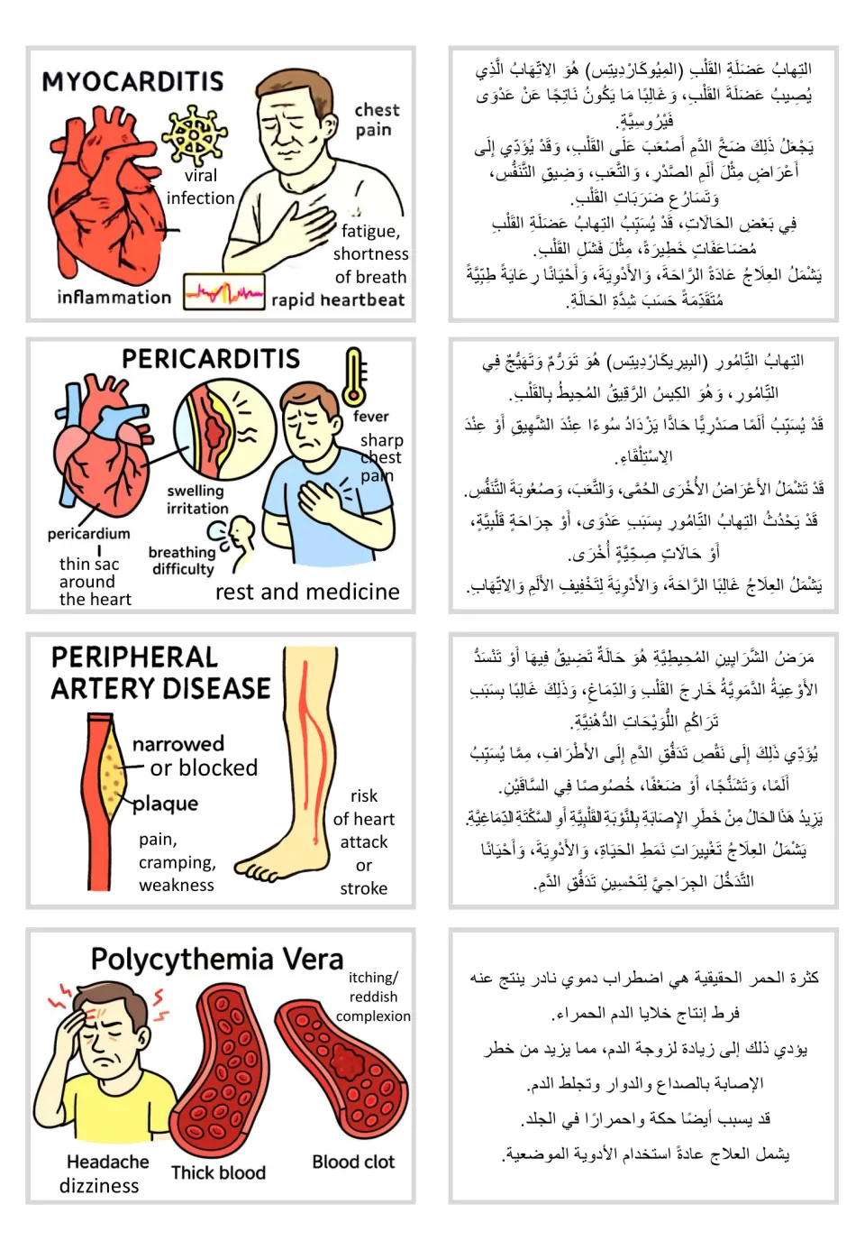 Visual and Arabic text cards: myocarditis, pericarditis, peripheral artery disease, and polycythemia vera