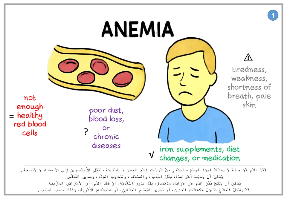Anemia poster 1: low healthy red blood cell levels, causes, symptoms and treatment, with Arabic text