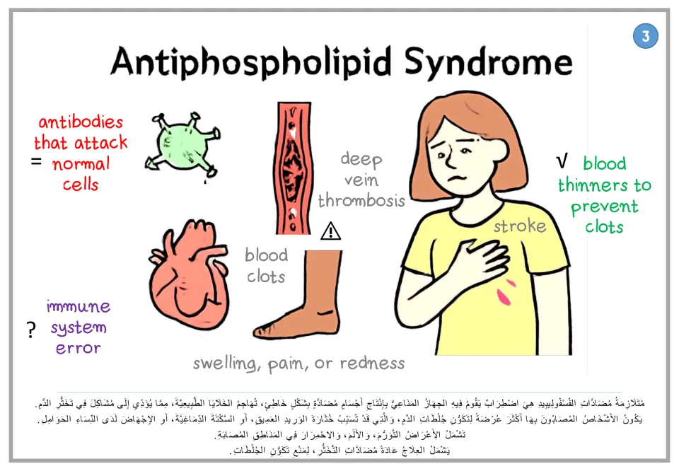 Antiphospholipid syndrome poster 3: immune system error, blood clots and blood thinners, with Arabic text