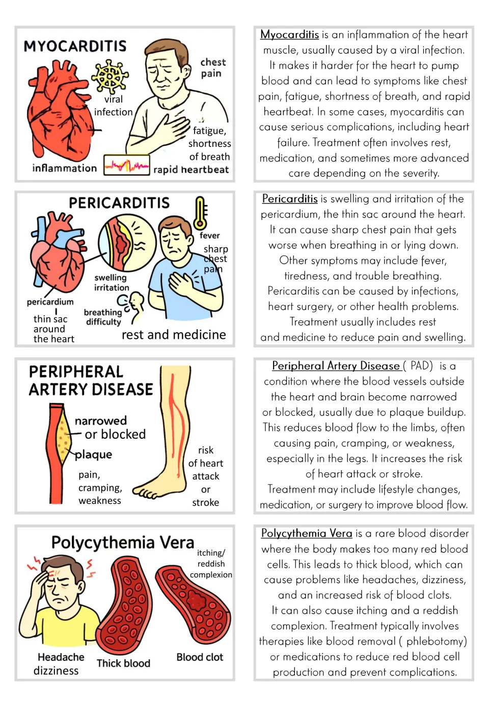 Picture and text card pairs for myocarditis, pericarditis, peripheral artery disease, and polycythemia vera