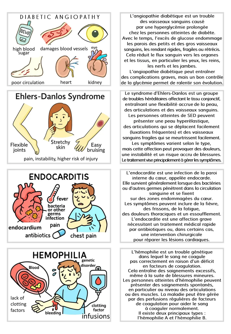 Visual and French text card pairs for diabetic angiopathy, Ehlers-Danlos syndrome, endocarditis, and hemophilia