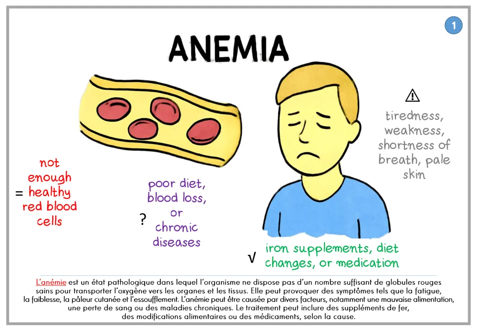 Anemia poster explaining too few healthy red blood cells, symptoms, causes, and treatment, with French text