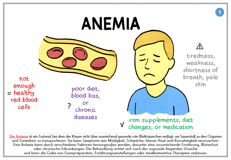 Anemia poster 1: notes on too few healthy red blood cells, causes, symptoms, and treatment, plus German text