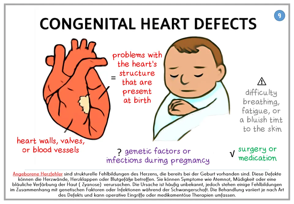 Congenital heart defects poster 9: structural problems present at birth, symptoms, and care, plus German text