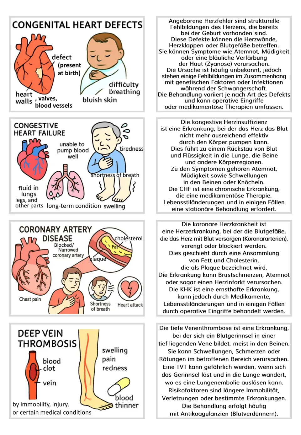 Flashcard pairs 9–12: congenital heart defects, congestive heart failure, coronary artery disease, and DVT