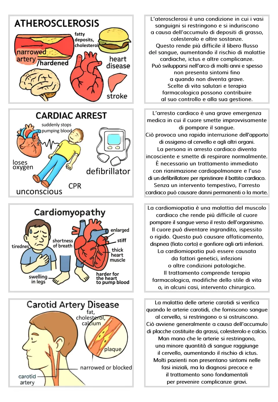 Cards with Italian texts: atherosclerosis, cardiac arrest, cardiomyopathy, and carotid artery disease