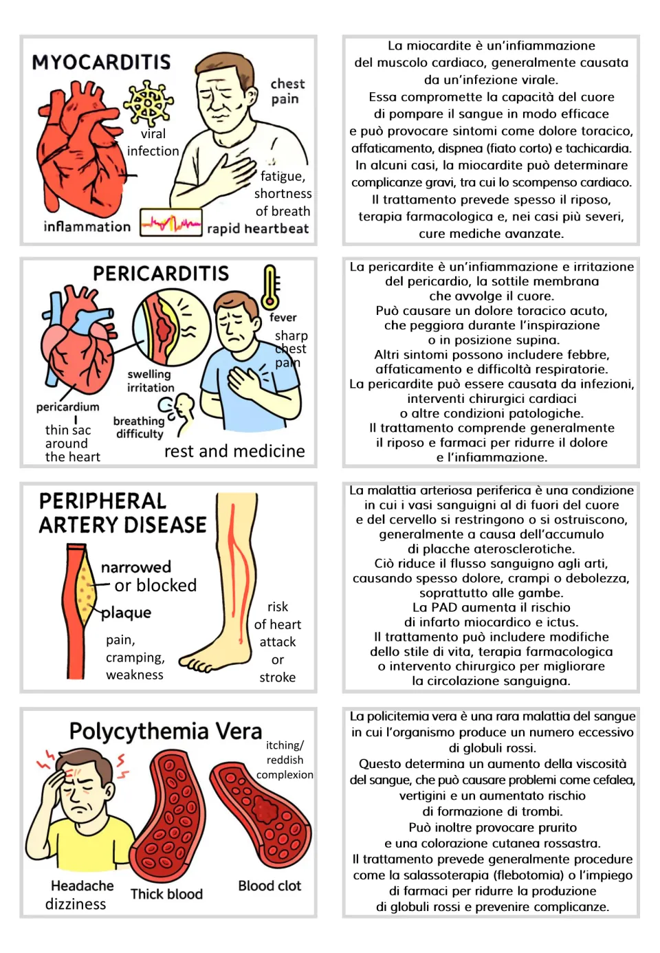 Cards and Italian texts for myocarditis, pericarditis, peripheral artery disease, and polycythemia vera