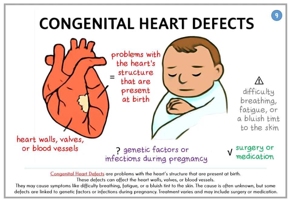 Congenital Heart Defects poster: heart structure problems present at birth, affecting walls, valves or vessels