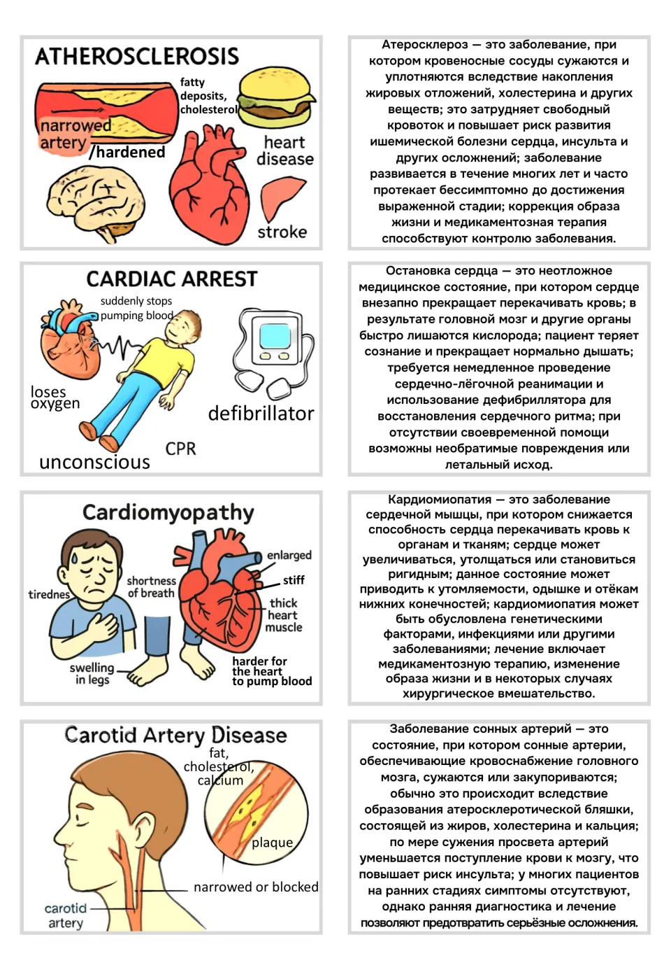 Visual flashcards and Russian text for atherosclerosis, cardiac arrest, and two more circulatory disorders
