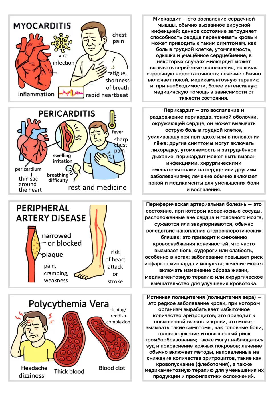 Visual flashcards and Russian text for myocarditis, pericarditis, and two more circulatory disorders