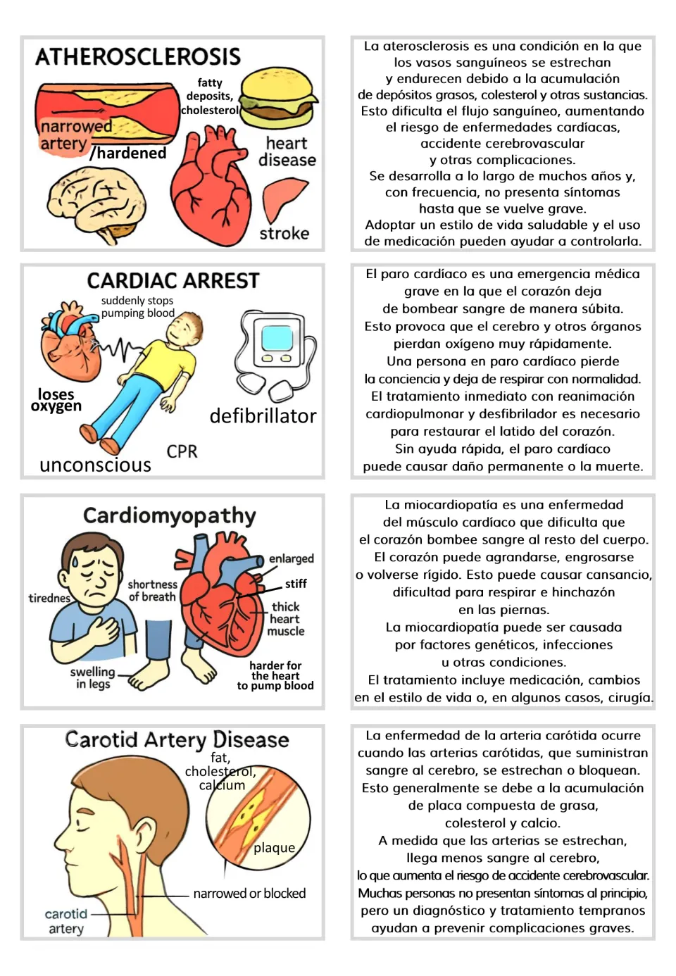 Visual and Spanish text card pairs: atherosclerosis, cardiac arrest, cardiomyopathy, and carotid artery disease