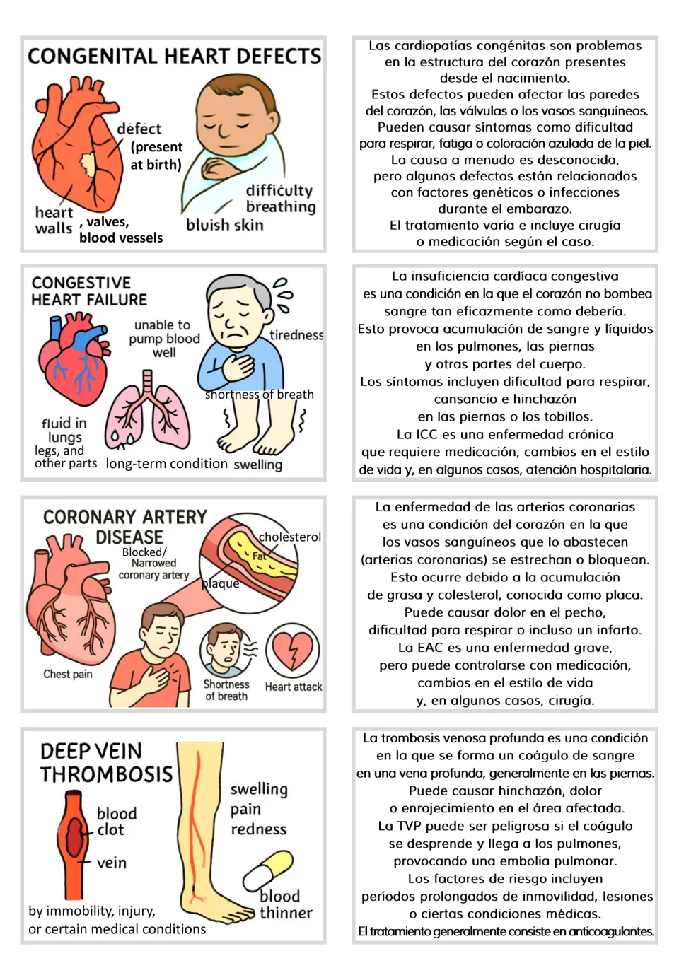 Visual and Spanish text card pairs on congenital heart defects, congestive heart failure, and two more disorders