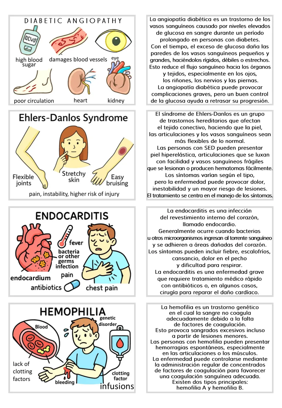 Visual and Spanish text card pairs: diabetic angiopathy, Ehlers-Danlos syndrome, endocarditis, and hemophilia