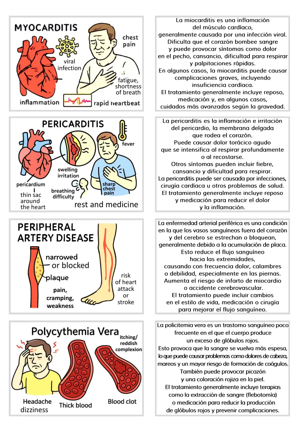 Visual and Spanish text card pairs: myocarditis, pericarditis, peripheral artery disease, and polycythemia vera