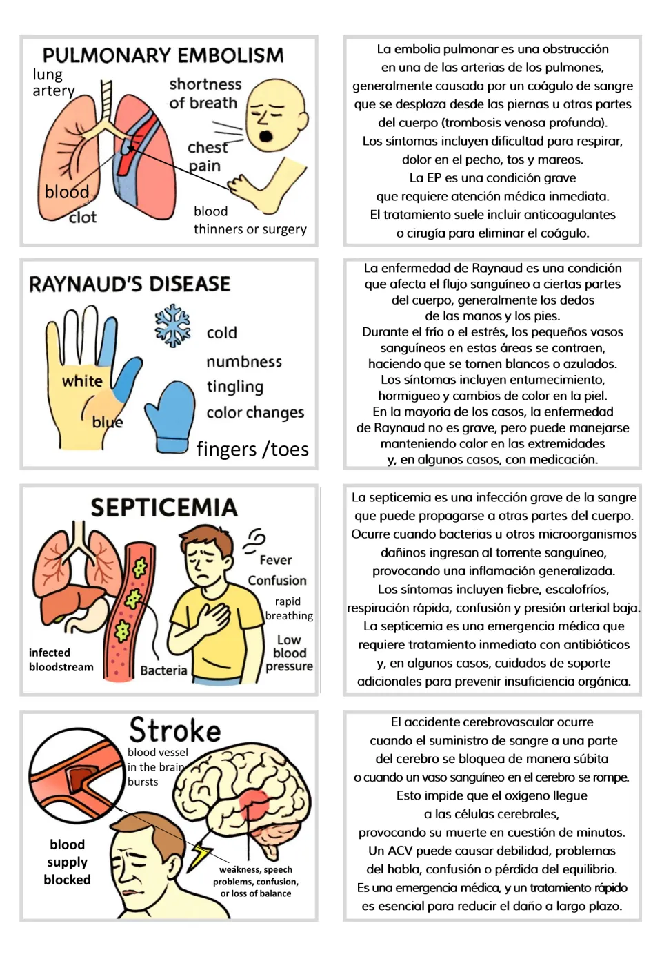 Paired visual and Spanish text cards: pulmonary embolism, Raynaud's disease, septicemia, and stroke