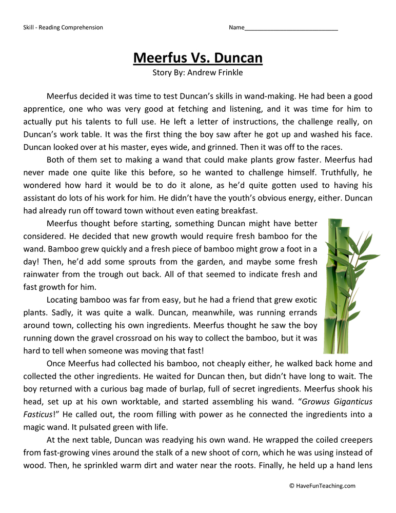 Meerfus vs Duncan Reading Comprehension Worksheet teaching resource preview