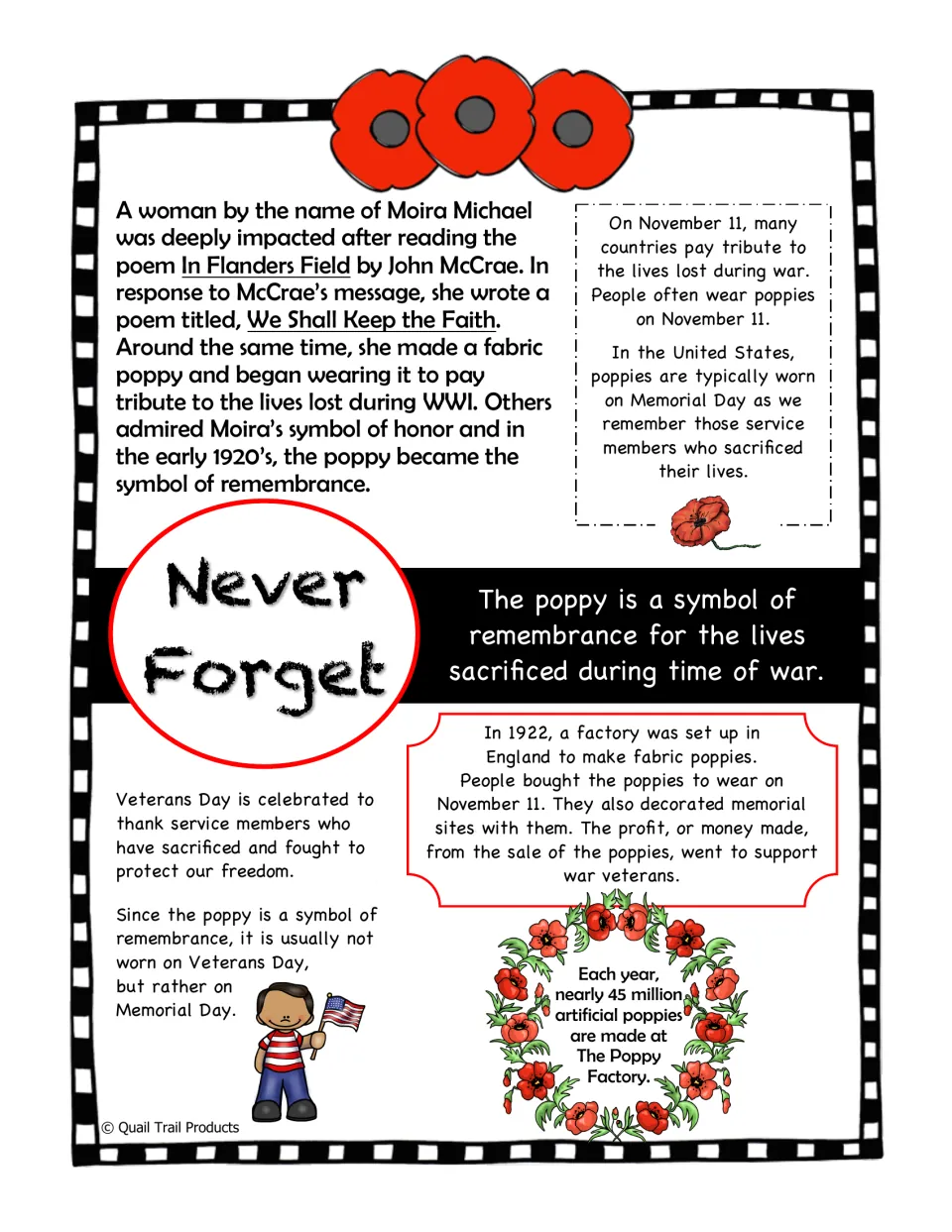 Poppy history infographic explains the flower as a remembrance symbol and its connection to Memorial Day