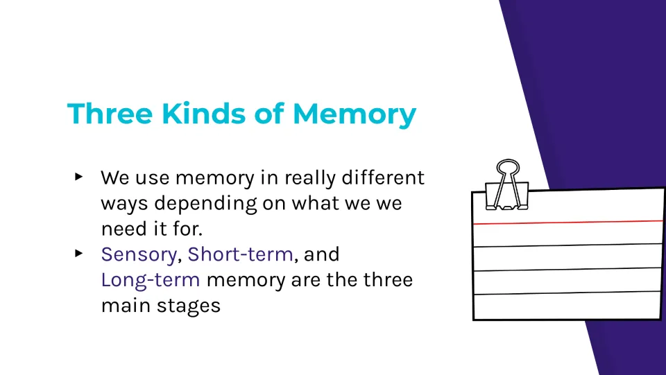 Memory lesson slide identifies sensory, short-term, and long-term memory as the three main stages