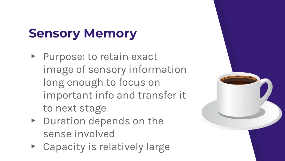 Sensory memory lesson slide explains its purpose, duration by sense, and relatively large capacity