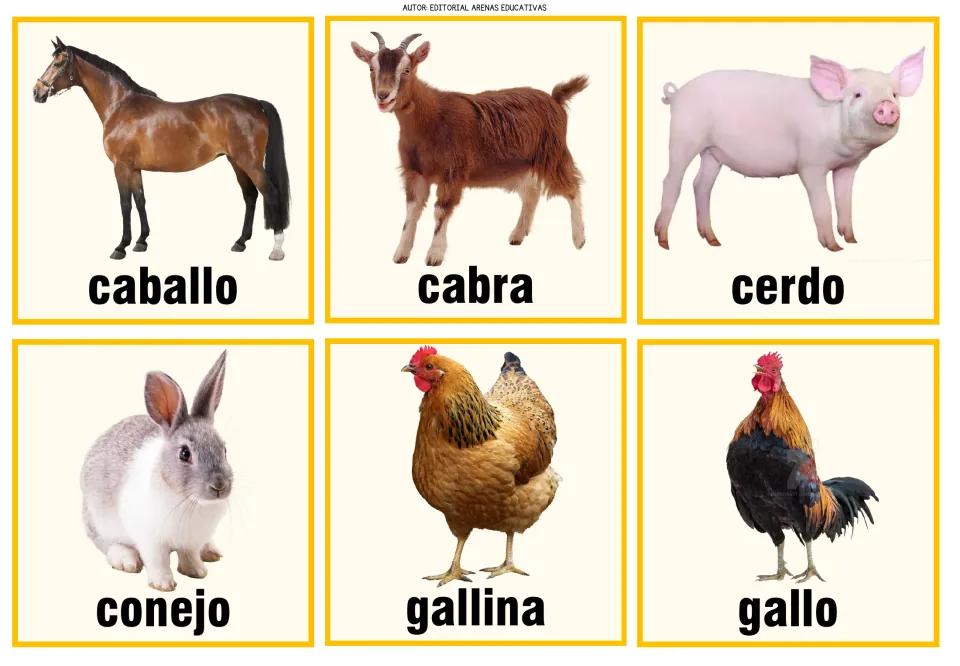 Farm animal vocabulary cards in Spanish: photos labeled caballo, cabra, cerdo, conejo, gallina and gallo to match
