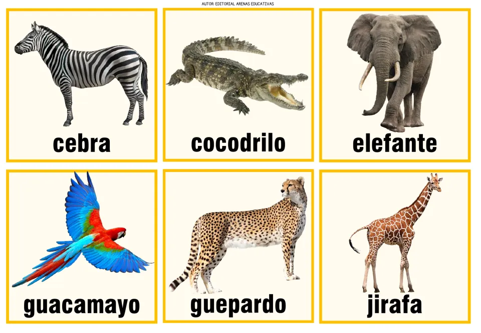 Animal memory cards 1–6: cebra (zebra), cocodrilo (crocodile), elefante (elephant), and three more, with photos