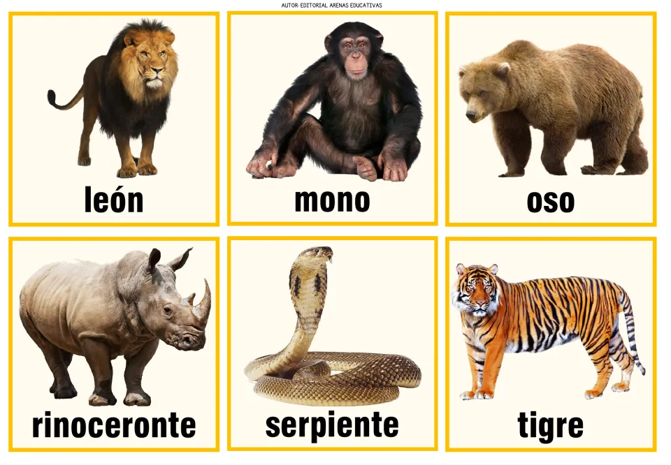 Animal memory cards 7–12: león (lion), mono (monkey), oso (bear), and three more, with photos